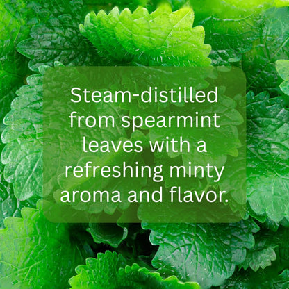 mGanna Spearmint Hydrosol 4 fl oz (118 ml) – Food Grade, Fresh Mint Aroma for Cooking & Skincare