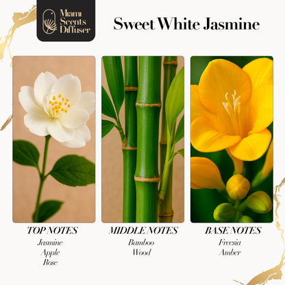 Sweet White Jasmine Diffuser Oil — Hotel-Inspired Luxury | Miami Scents Diffuser