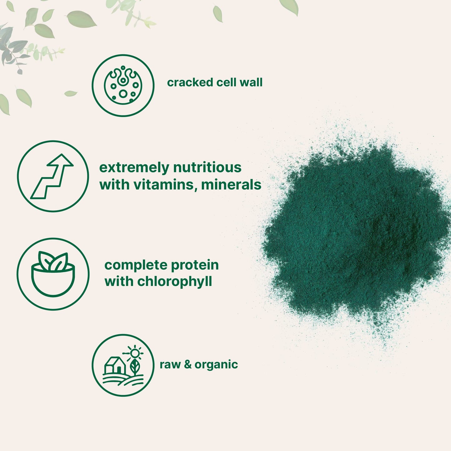 Micro Ingredients Organic Chlorella Powder – 10 oz, Broken Cell Wall, Vegan Protein