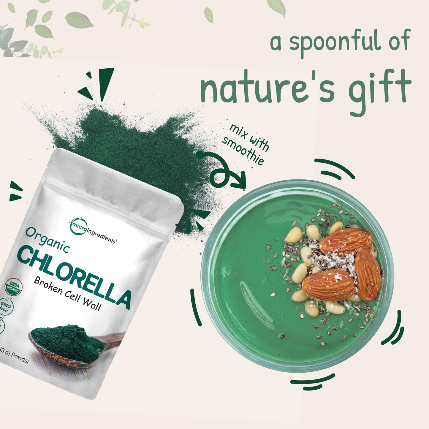 Micro Ingredients Organic Chlorella Powder – 10 oz, Broken Cell Wall, Vegan Protein