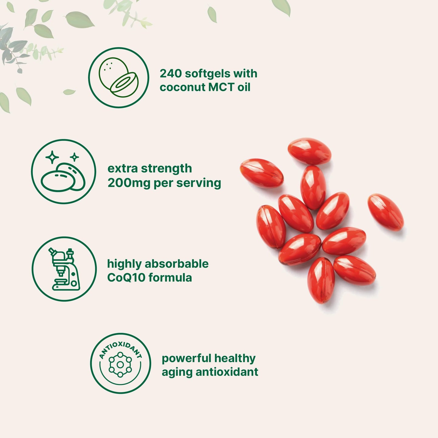 Micro Ingredients CoQ10 200mg Softgels with Coconut MCT Oil – 240 Softgels | High Absorption Ubiquinone