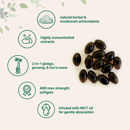Micro Ingredients Ginkgo Biloba & Ginseng, 400 Softgels | 6 Month Supply | Triple Strength Ginkgo Biloba & Lions Mane Supplement