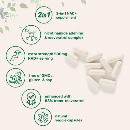 Micro Ingredients NAD+ 500mg with Resveratrol - 240 Veggie Capsules | Anti-Aging, Energy & Brain Support