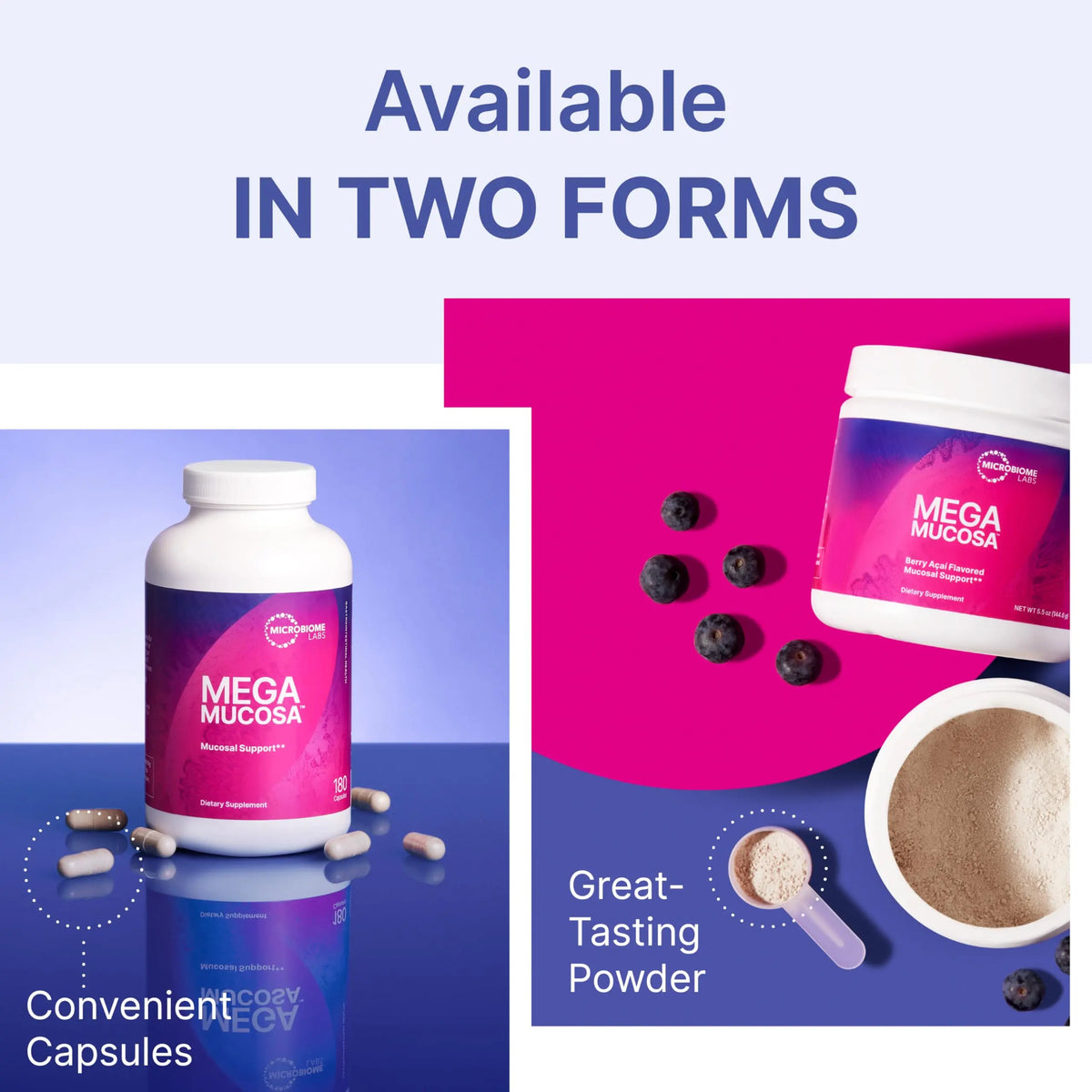 Microbiome Labs MegaMucosa Gut Health Powder – Complete Mucosal Support (Berry Acai, 5.5 oz) | Dairy-Free Immunoglobulins BritishVita | Premium UK Vitamins & Wellness Supplements