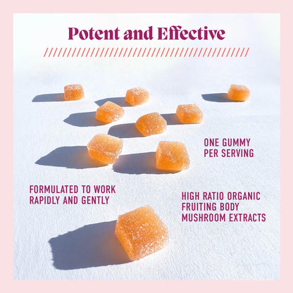 Microjoy Concentrate Gummies – Focus, Memory & Mood Support | Lemon Flavor (Vegan, Non-GMO, Gluten-Free) | 30 Servings