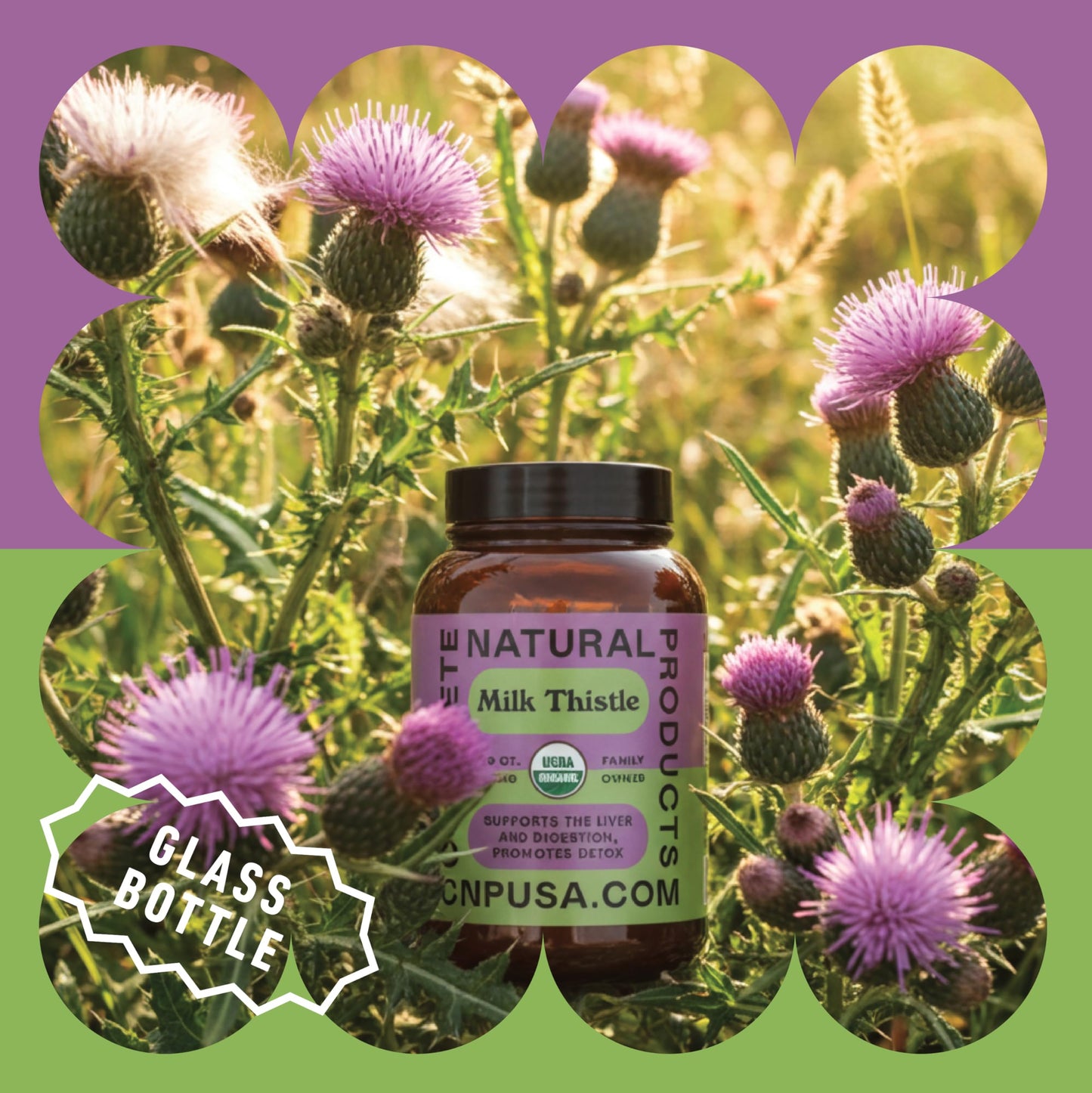 Milk Thistle Capsules 500 mg Silymarin – Pure Organic, Pack of 2 (200 Capsules) | Complete Natural Products