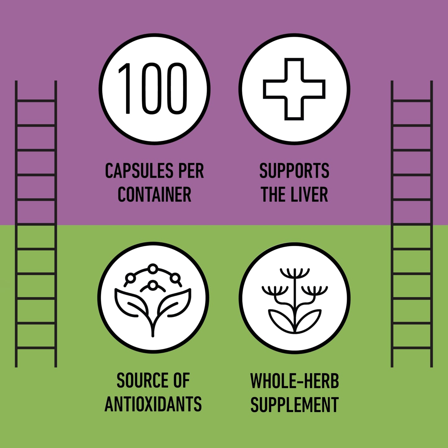 Milk Thistle Capsules 500 mg Silymarin – Pure Organic, Pack of 2 (200 Capsules) | Complete Natural Products
