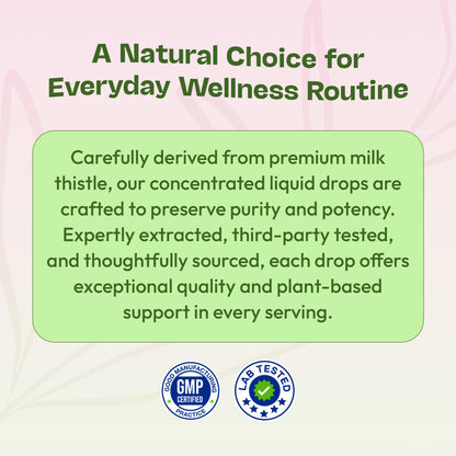 Milk Thistle Drops with 80% Silymarin Flavonoids – Vegan, Non-GMO, Fast-Absorbing – Mixed Berry, 60 mL