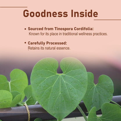 Guduchi Powder (Giloy) – Tinospora Cordifolia | Supports Digestion & Immunity | 227g (8oz) | Resealable Pouch