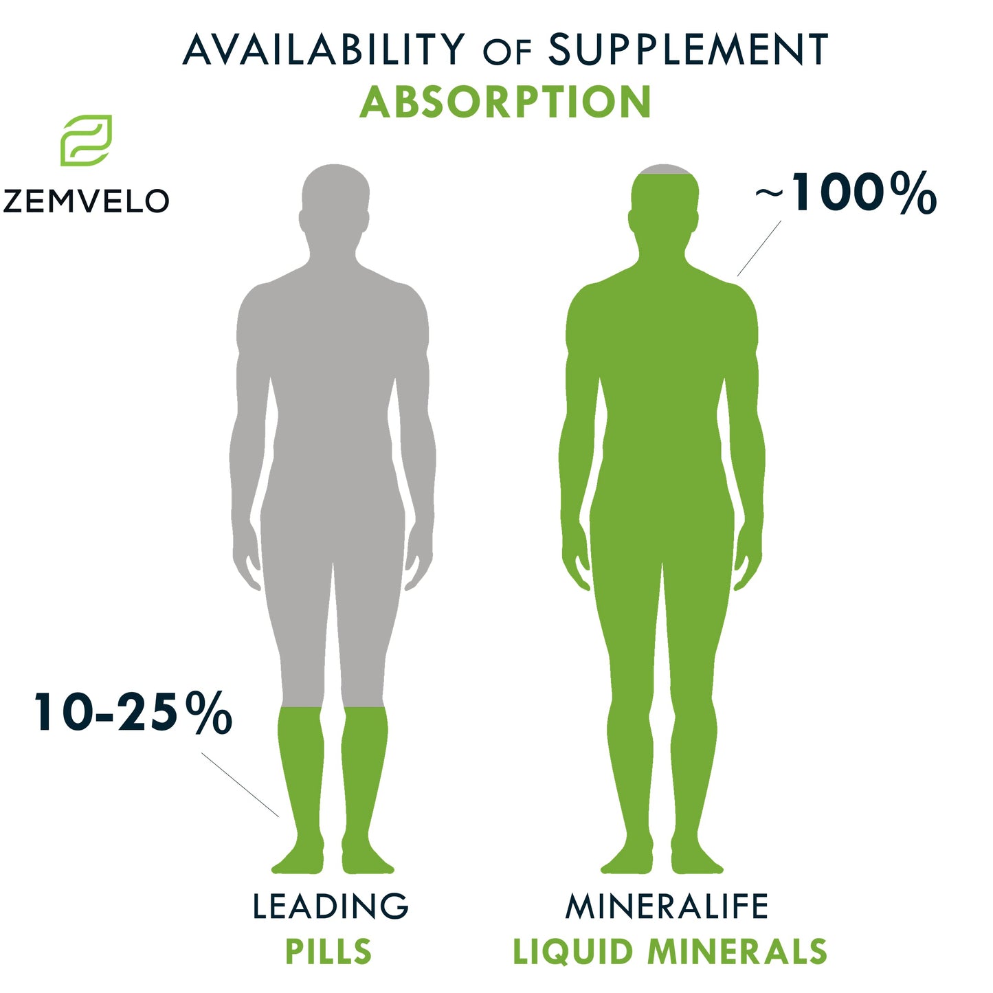 Mineralife Liquid Daily Multi-Mineral Supplement | Whole Food Nutrition | Cherry Flavor