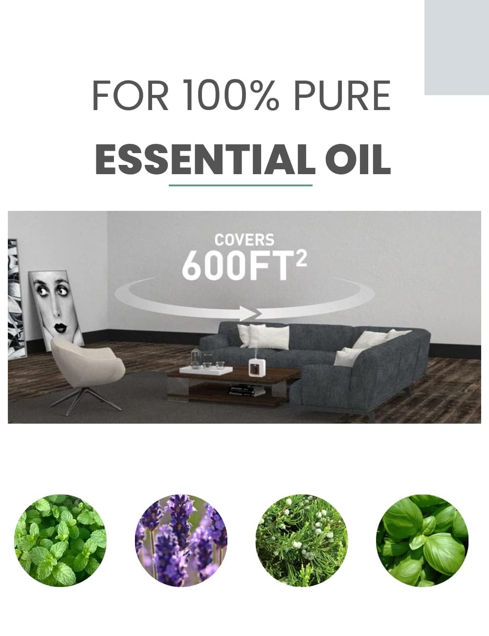 Minidiva Aromatherapy Diffuser — Nebulizing, No Water, Ultra-Quiet & Portable