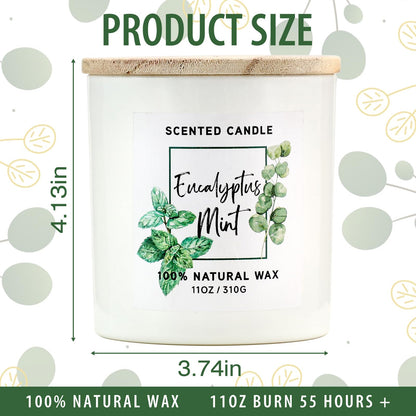 MIRASCENTS Eucalyptus & Mint Scented Candle – 11oz Natural Soy Wax