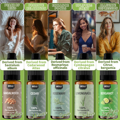 MISIJI Essential Oils Set – 10 Scents for Diffuser & Aromatherapy