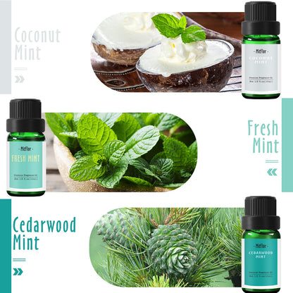 MitFlor Mint Fragrance Oils Set – 6x10ml Premium Scented Oils for Diffuser, Candle & Soap Making