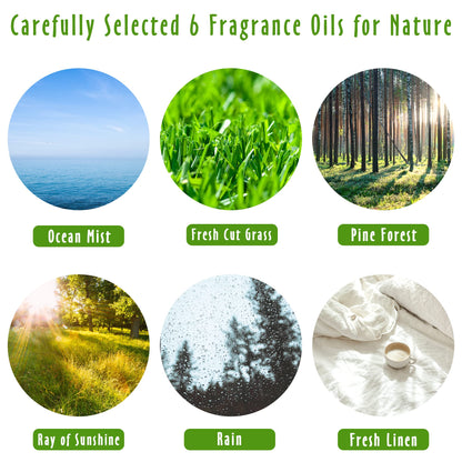 MitFlor Nature Set – 6x10ml Fragrance Oils for Diffusers, Soap & Candle Making