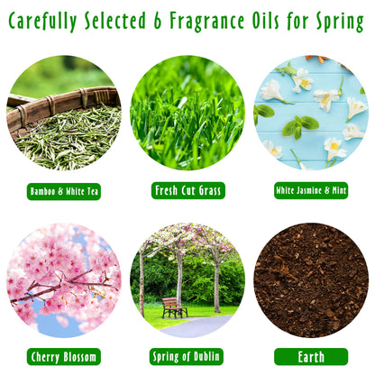 MitFlor Spring Fragrance Oils Set - 6x10ml Premium Essential Oils