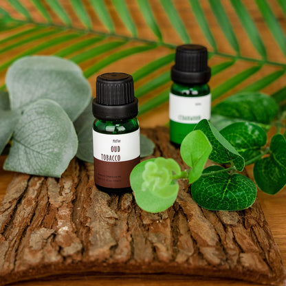MitFlor Woodland Fragrance Oils – 6x10ml Scented Essential Oils for Diffusers, Candles, Soaps (Pine Forest, Cedarwood, Oakmoss Amber, Frosty Fir, Rosemary Eucalyptus, Oud Tobacco)