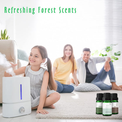 MitFlor Woodland Fragrance Oils – 6x10ml Scented Essential Oils for Diffusers, Candles, Soaps (Pine Forest, Cedarwood, Oakmoss Amber, Frosty Fir, Rosemary Eucalyptus, Oud Tobacco)