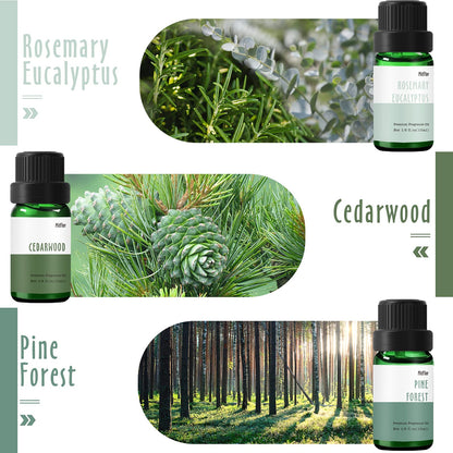MitFlor Woodland Fragrance Oils – 6x10ml Scented Essential Oils for Diffusers, Candles, Soaps (Pine Forest, Cedarwood, Oakmoss Amber, Frosty Fir, Rosemary Eucalyptus, Oud Tobacco)