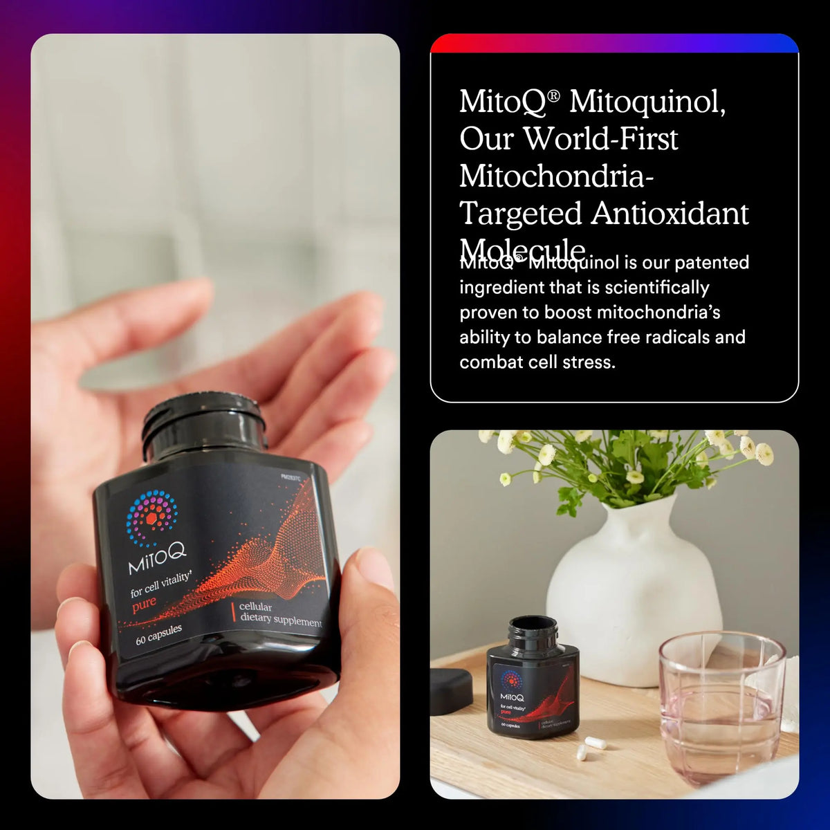 MitoQ Pure Advanced Mitochondria Supplement | Superior Bioavailability for Energy, Aging & Vitality BritishVita | Premium UK Vitamins & Wellness Supplements
