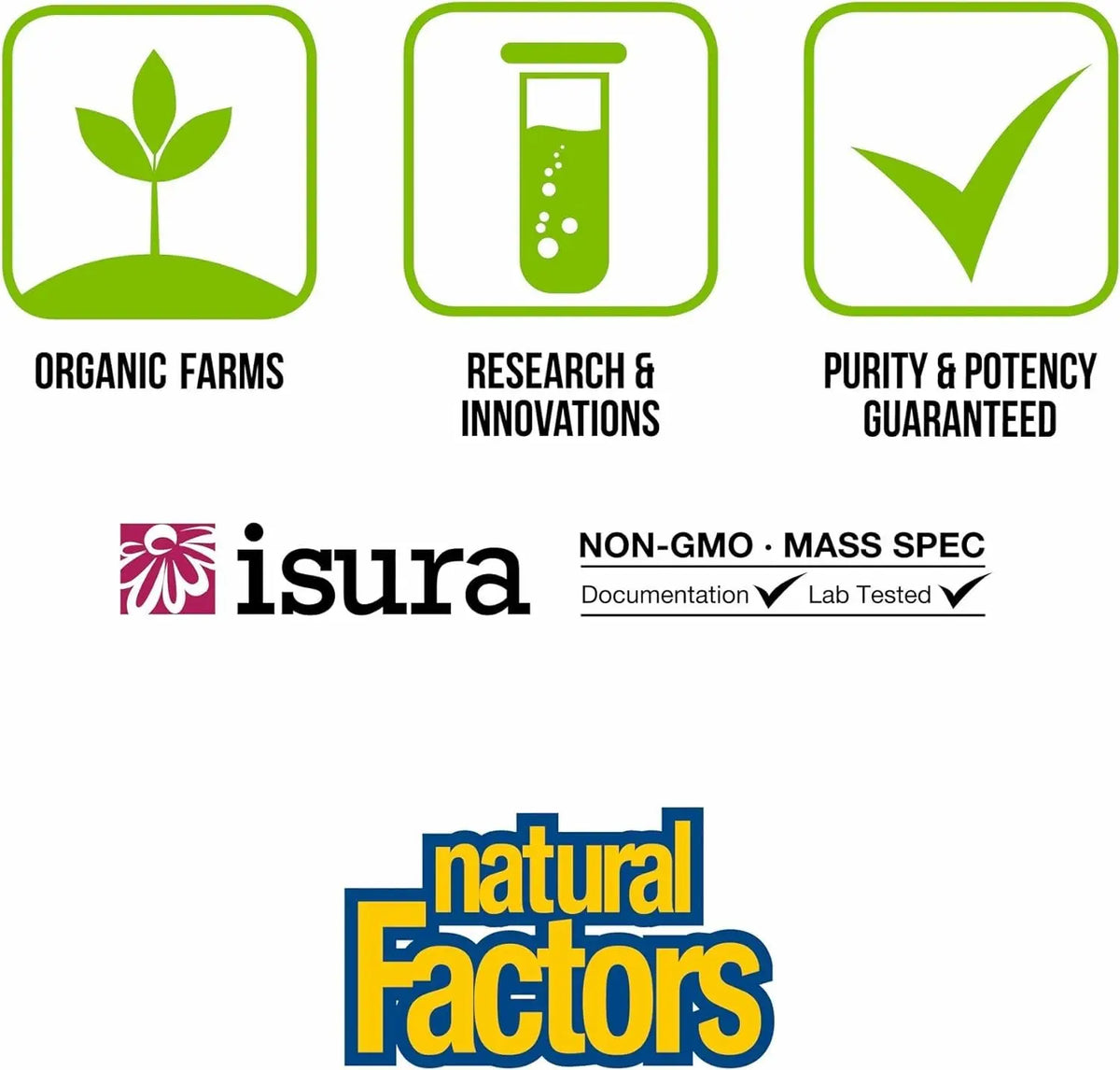 Whole Earth & Sea Organic Fermented Protein & Greens – Vanilla Chai BritishVita | Premium UK Vitamins & Wellness Supplements