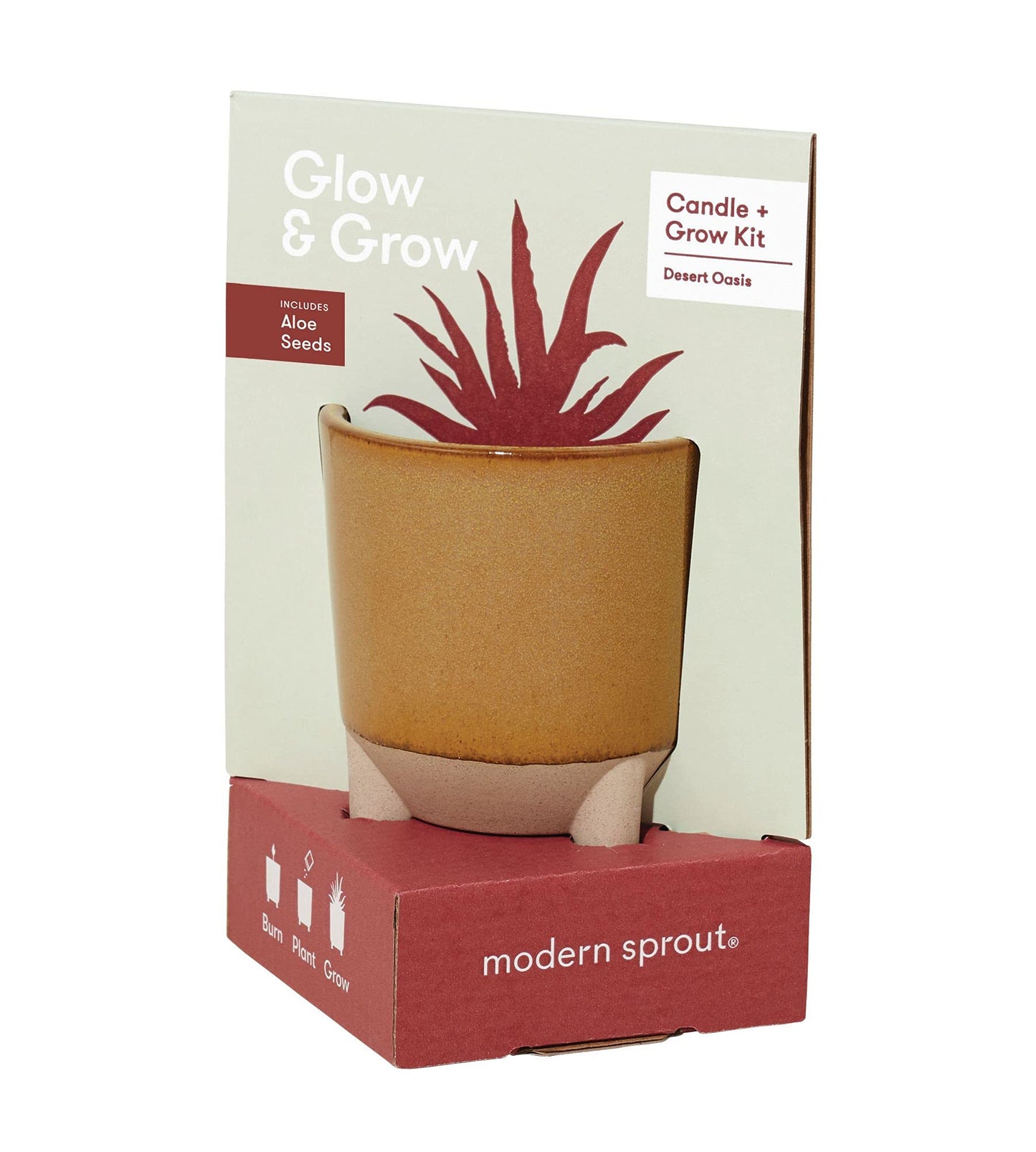 Modern Sprout Glow and Grow Kit — Candle That Becomes Aloe Planter in Ceramic Vessel