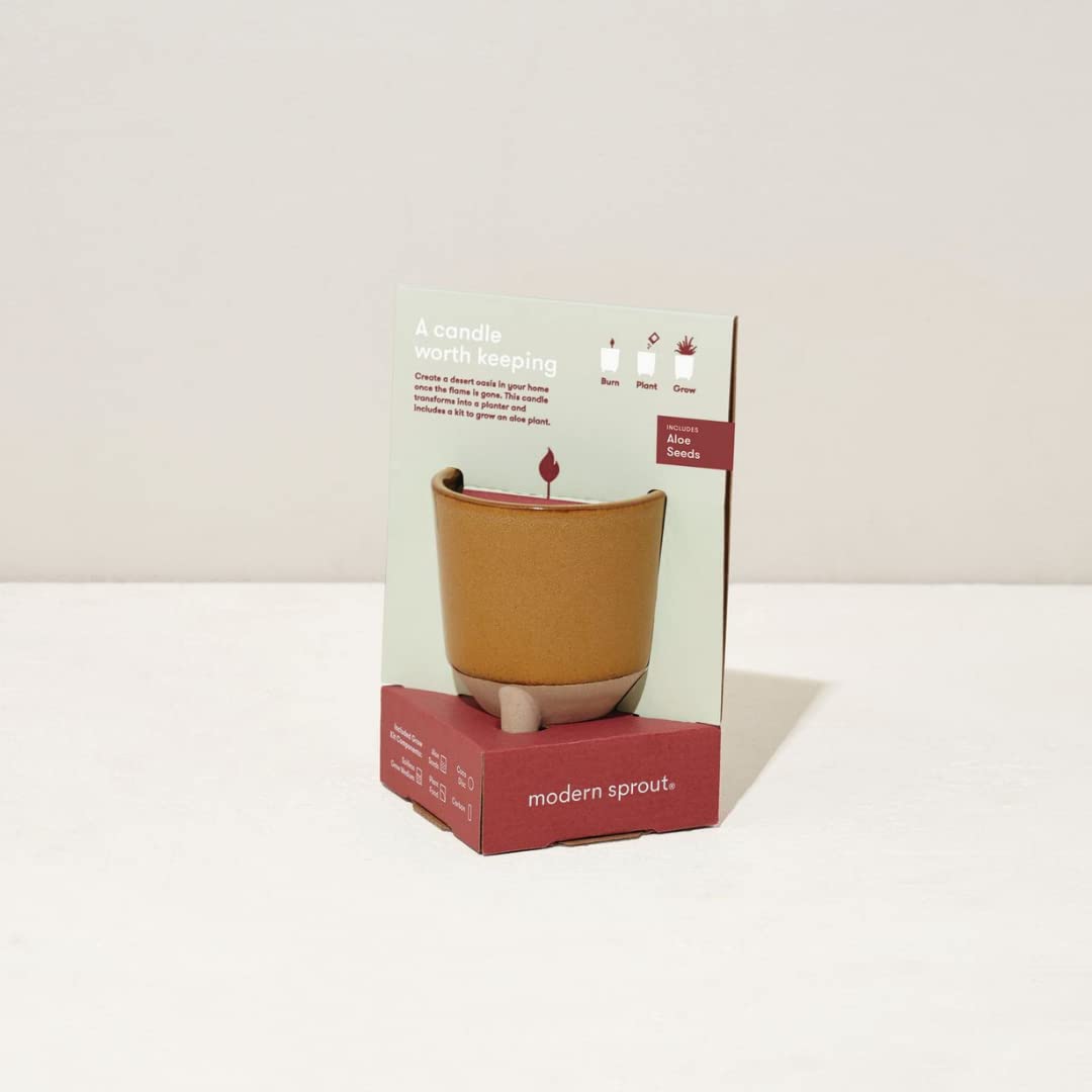 Modern Sprout Glow and Grow Kit — Candle That Becomes Aloe Planter in Ceramic Vessel