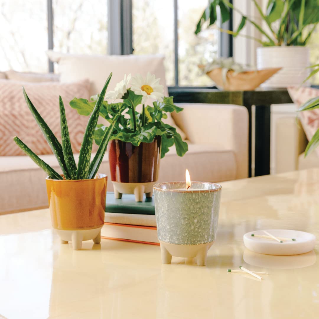 Modern Sprout Glow and Grow Kit — Candle That Becomes Aloe Planter in Ceramic Vessel