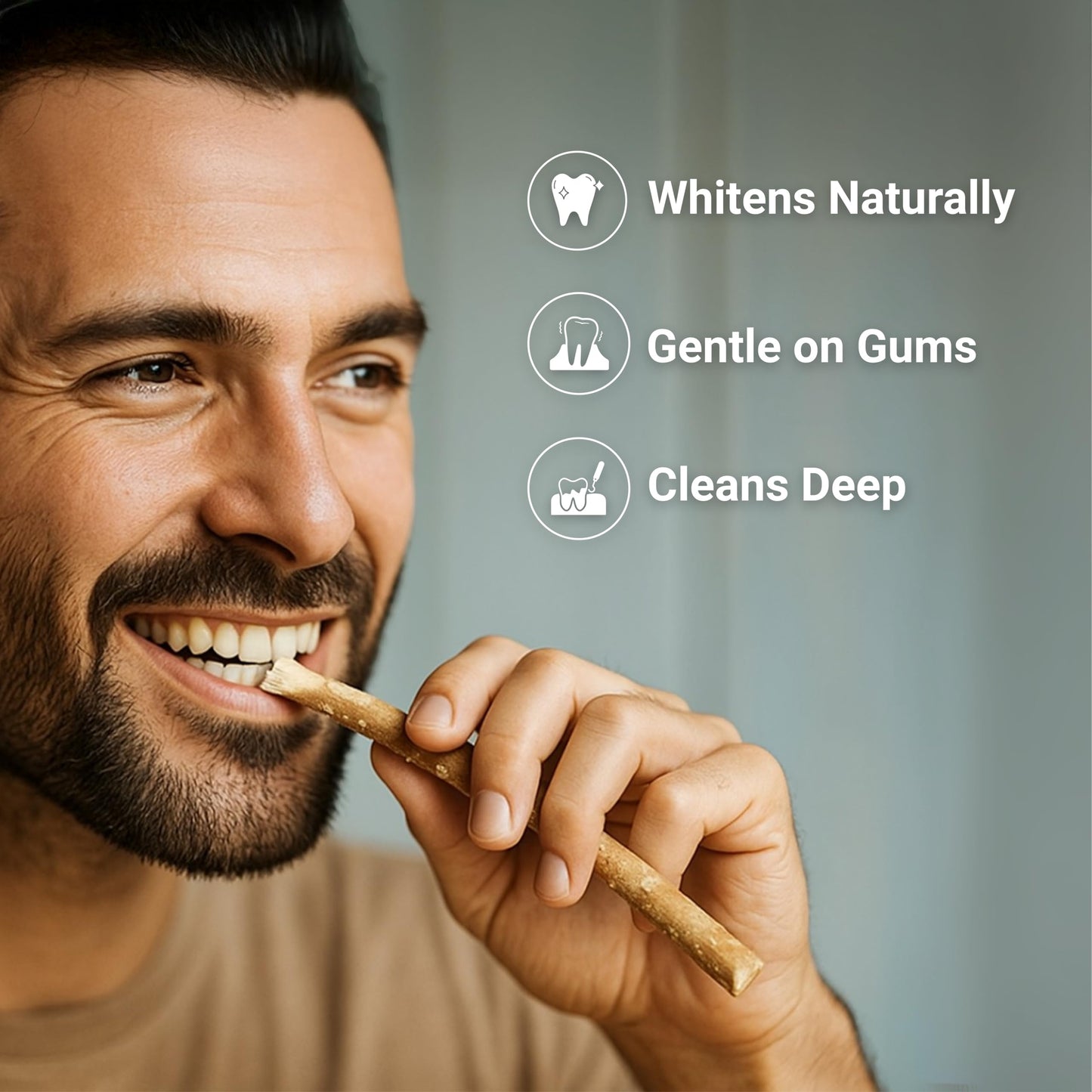 MOEY Miswak Stick with Wooden Holder – Salvadora Persica, Whitens Teeth