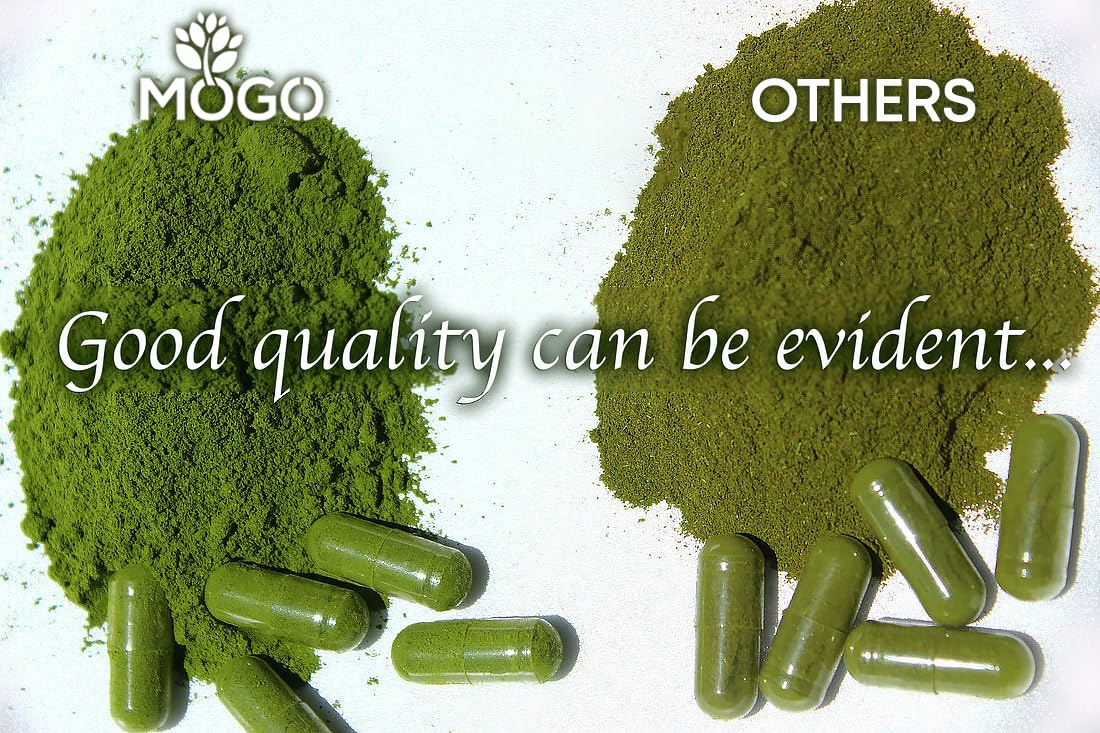 MOGO Moringa Capsules 180 Ct - Organic Moringa Powder | Energy, Immunity, Gut & Joints | Made in USA