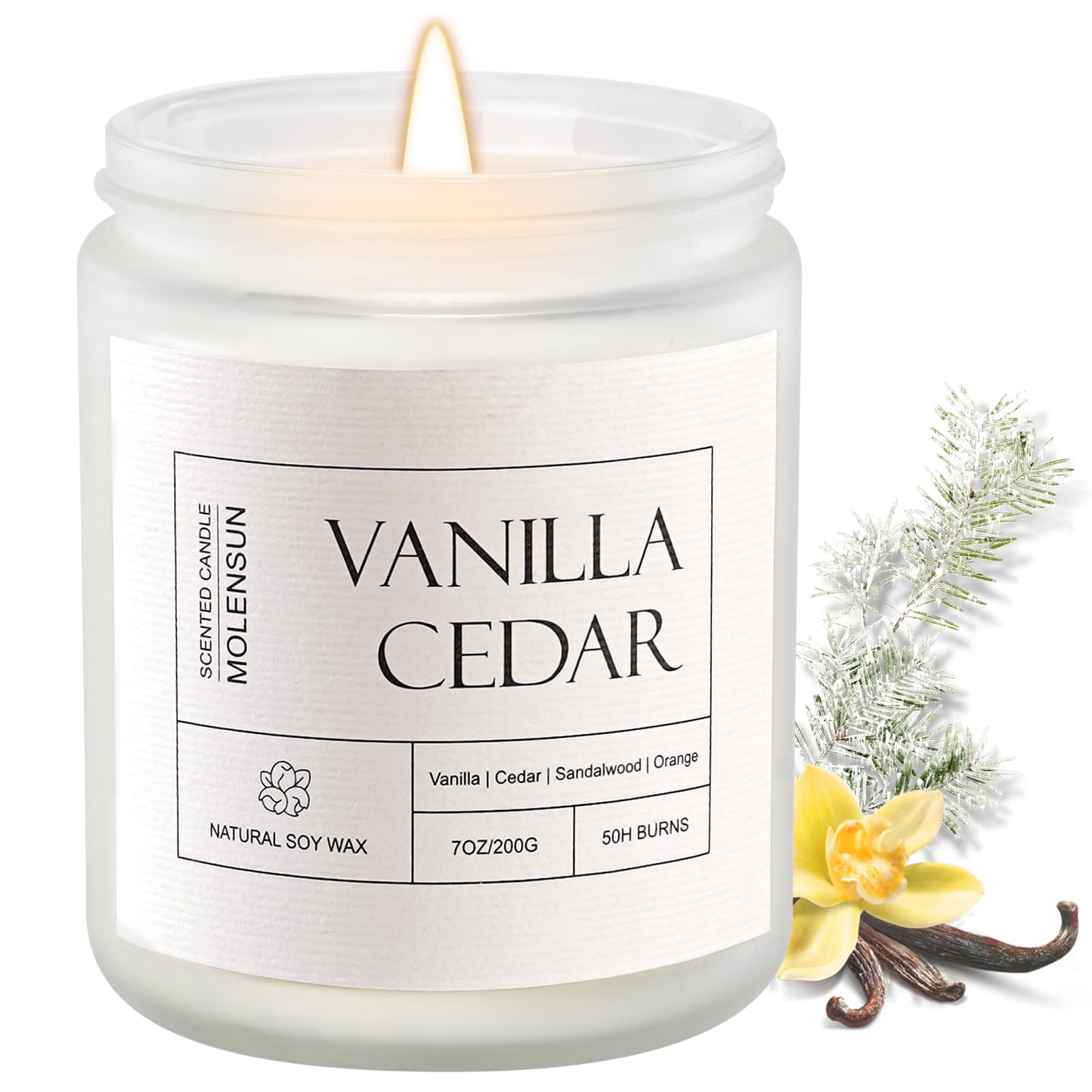 Molensun Vanilla Cedar Candle | 7 oz Soy Candle – Cozy Winter Gift