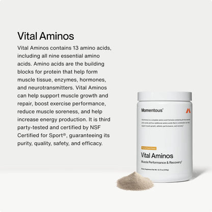Momentous Vital Aminos Powder – 13 Amino Acids (EAAs + extras) | BCAA & EAA | Tropical Punch | NSF Certified for Sport | GMO & Gluten-Free | 30 Servings BritishVita | Premium UK Vitamins & Wellness Supplements