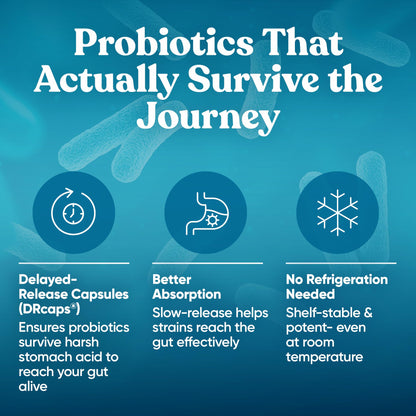 Momma Prenatal Probiotics – Gut Health for Mom & Baby | Pregnancy & Nursing