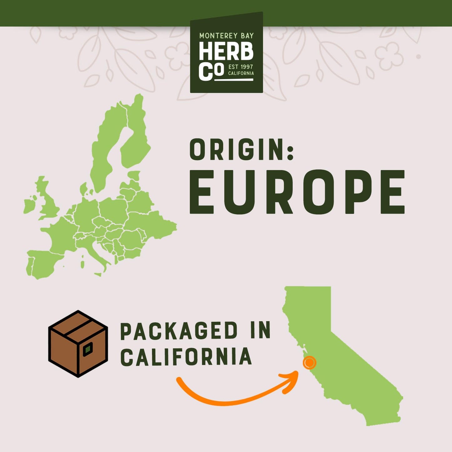 Monterey Bay Herb Co. Hawthorn Berries Whole 1 lb – Teas, Jams & Beverages