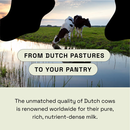 MOOVE Bovine Colostrum Capsules 1,000mg – Grass-Fed Dutch Cows | Immune & Gut Support | 60ct