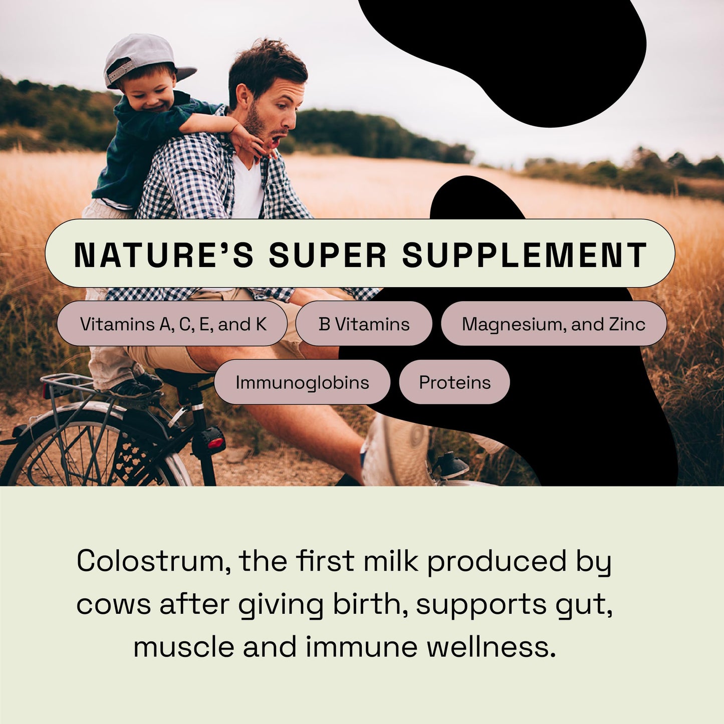 MOOVE Bovine Colostrum Capsules 1,000mg – Grass-Fed Dutch Cows | Immune & Gut Support | 60ct