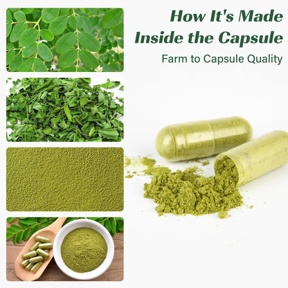Moringa Capsules 800mg – 120 Count | Energy, Immunity, Gut Health | Non-GMO & Gluten Free