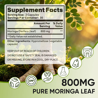 Golden Chapter Moringa Capsules – Iron, Magnesium, B12 & Vitamin C | Joint Support & Energy, 60 Count