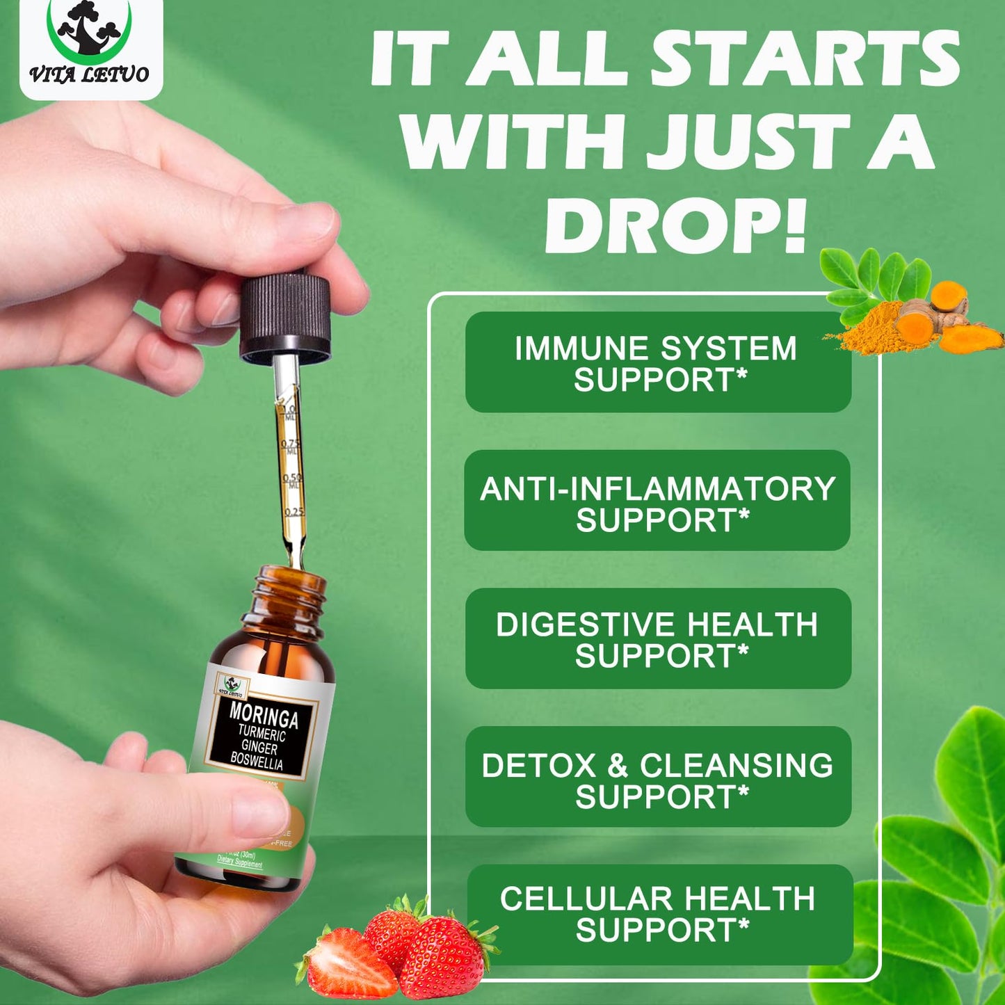 Moringa Drops – Organic Moringa Leaf Extract with Turmeric, Ginger & Boswellia