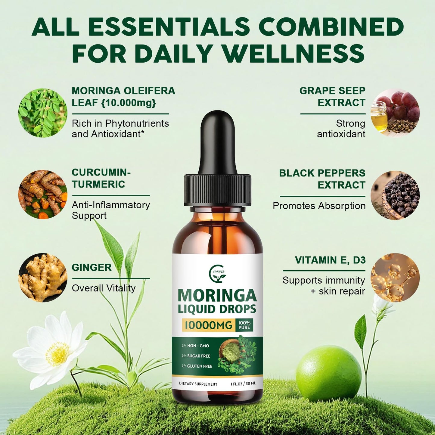 2 Pack Organic Moringa Liquid Drops with Turmeric & Black Pepper