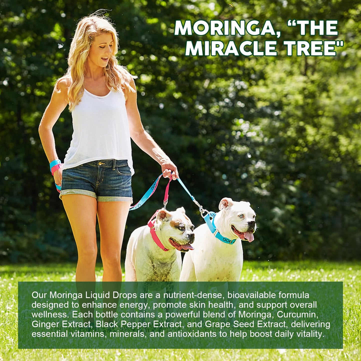 2 Pack Organic Moringa Liquid Drops with Turmeric & Black Pepper