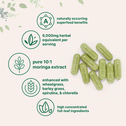Micro Ingredients Moringa Oleifera 300 Capsules | Immune Support & Energy | Non-GMO