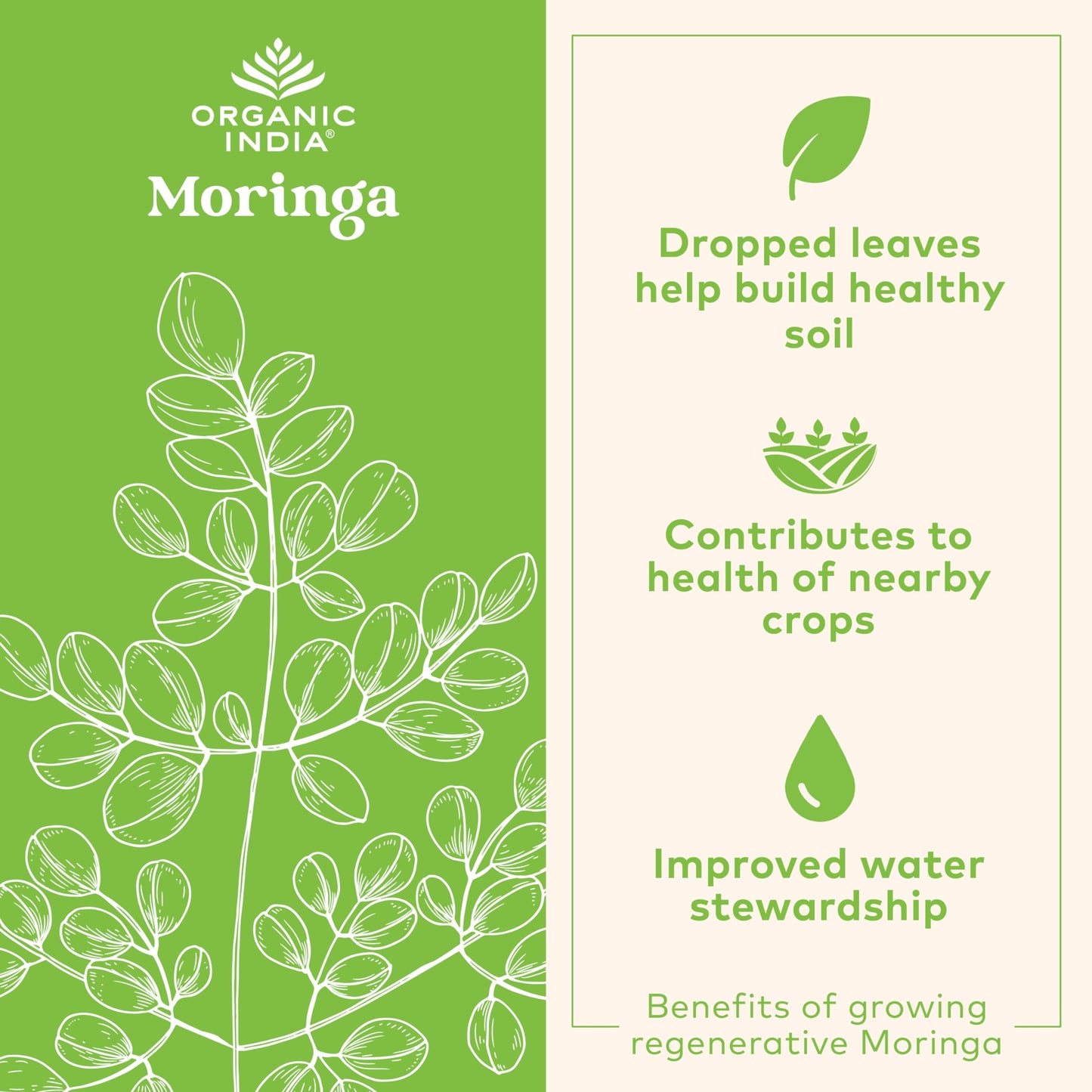 Organic India Moringa Capsules Organic – Green Superfood, Vegan, Gluten-Free | 90 Capsules