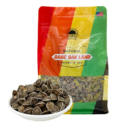 Premium Moringa Seed Moringa Oleifera Malunggay Drumstick Seeds from India – 8 oz Bag, 100% Natural Superfood