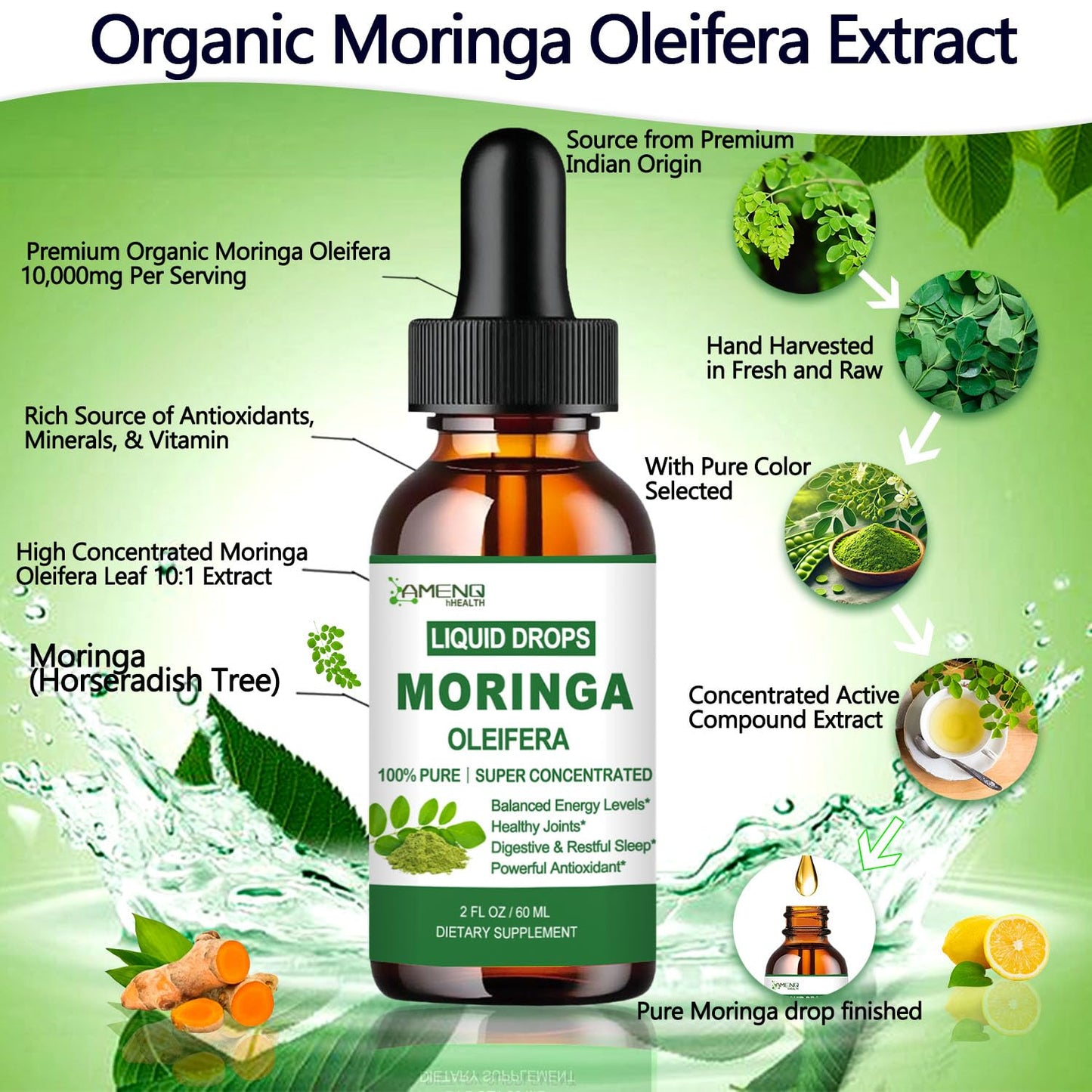 Pure Moringa Oleifera Liquid Drops with Turmeric & Black Pepper – Organic Moringa Supplement for Energy, Immunity, Skin, Joints & Gut