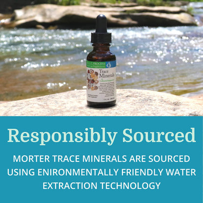 Morter Trace Minerals in Colloidal Suspension | Fulvic Minerals & Amino Acids