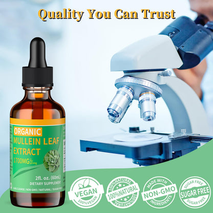 Mosslly 1700mg Mullein Drops – Organic Mullein Leaf for Lungs (2 fl oz)