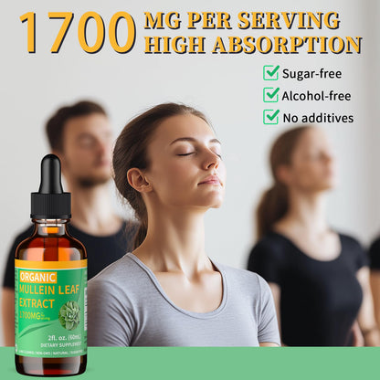 Mosslly 1700mg Mullein Drops for Lungs – Organic Mullein Leaf Extract, 2 Oz