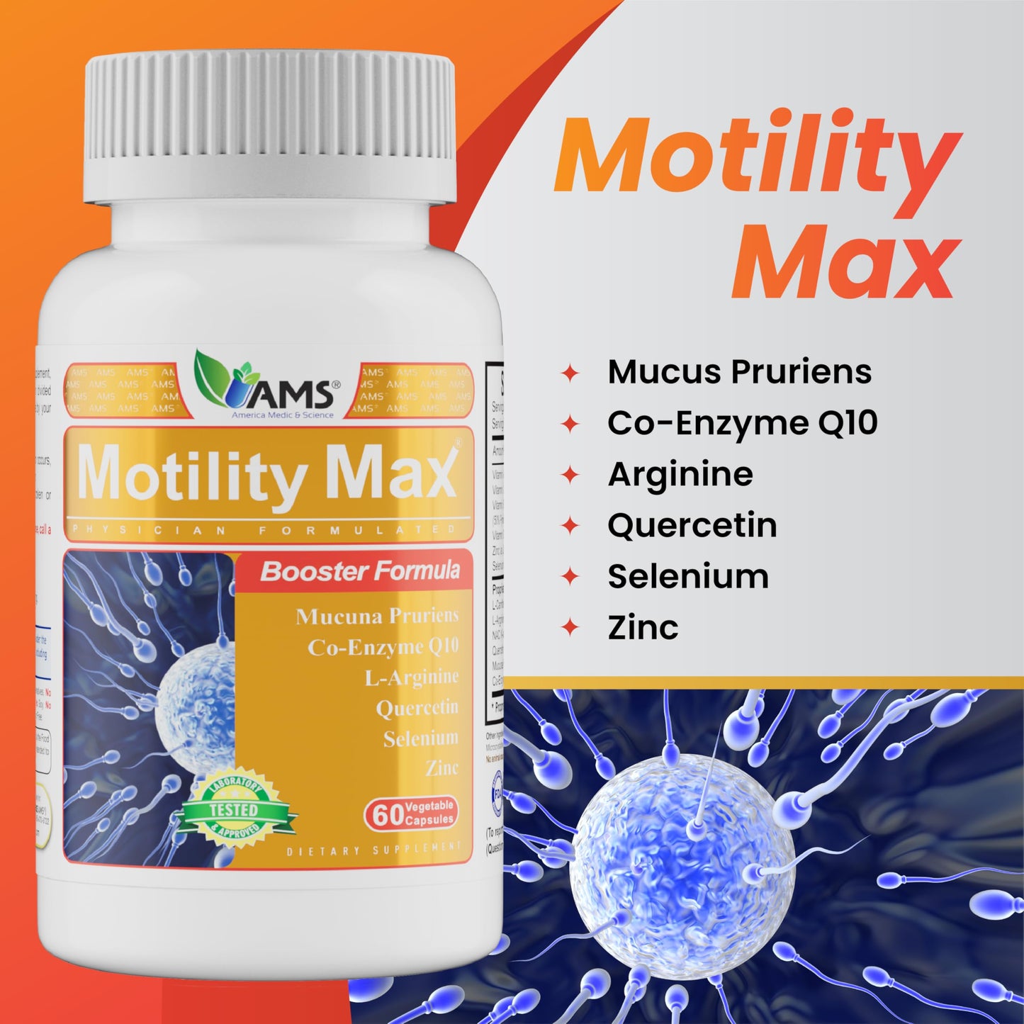 Motility Max – Sperm Motility & Reproductive Health Support | Circulation, Libido & Testosterone | 60 Capsules