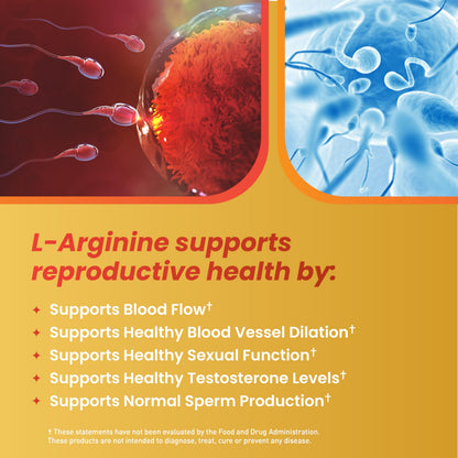 Motility Max – Sperm Motility & Reproductive Health Support | Circulation, Libido & Testosterone | 60 Capsules